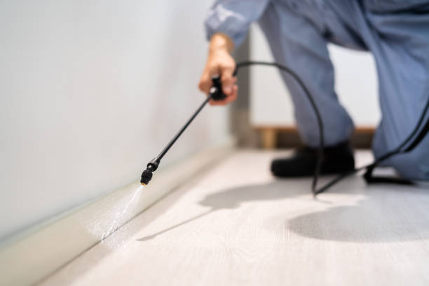 Licensed Pest Control service in St. Martinville, LA - Show Me Pest Control