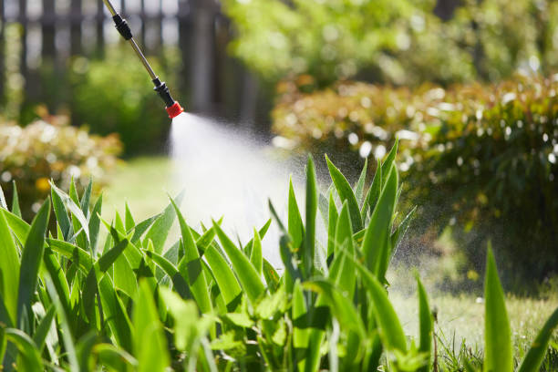 24/7 Emergency Wasp Removal experts in St. Martinville, LA