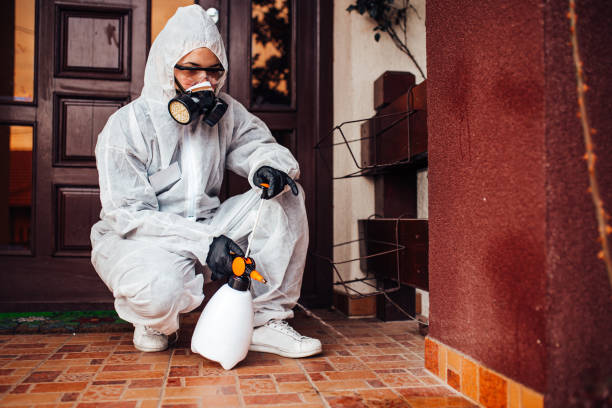Reliable Wasp Removal contractor in St. Martinville, LA by Show Me Pest Control